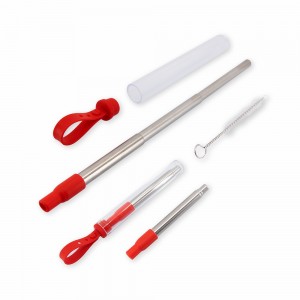 Canudo Inox Retrátil com Escova e Estojo